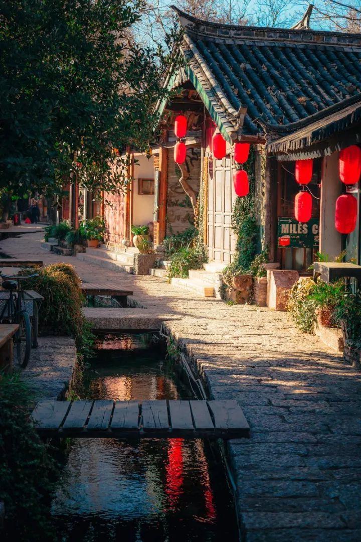 瑞德的冒险之旅中文版